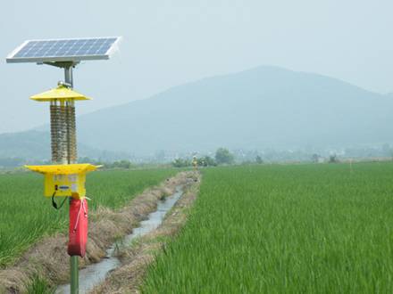 太阳能杀虫灯为农民解忧